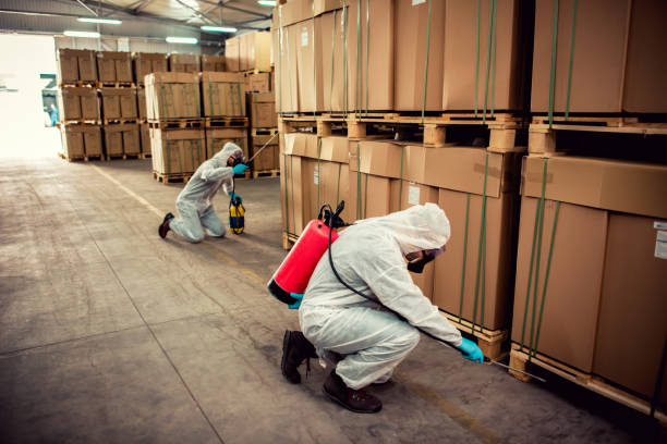 Best Bed Bug Extermination  in Santa Rosa, NM