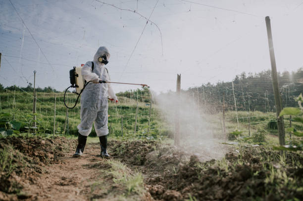 Best Best Pest Control Companies  in Santa Rosa, NM