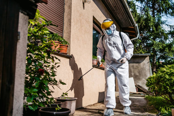 Professional Pest Control in Santa Rosa, NM