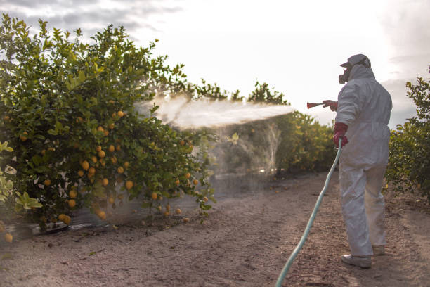 Best Pest Removal Services  in Santa Rosa, NM