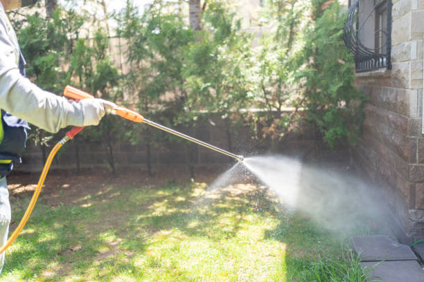 Best Wasp Removal Services  in Santa Rosa, NM