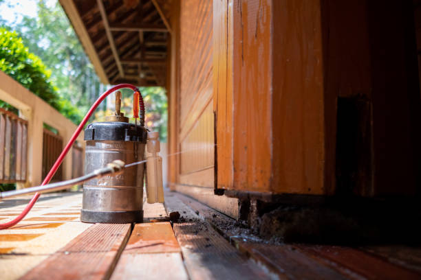 Best Cockroach Control Services  in Santa Rosa, NM