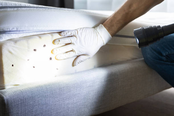 Best Affordable Pest Control Services  in Santa Rosa, NM