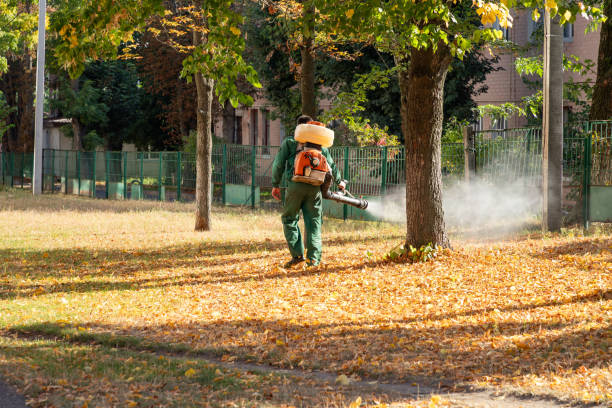 Insect Control in Santa Rosa, NM
