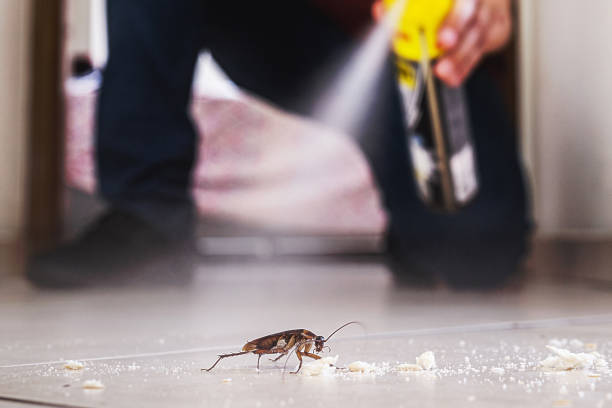 Best Insect Control  in Santa Rosa, NM