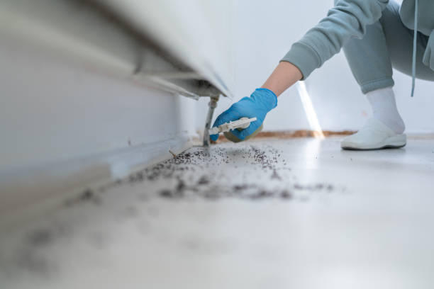 Best Pest Prevention Services  in Santa Rosa, NM
