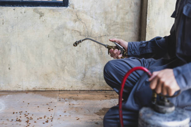 Best Pest Inspection Near Me  in Santa Rosa, NM
